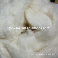 mejor venta de lana de cachemira depilada